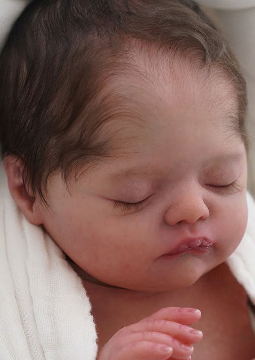 Kit Lola de Beatriz Clemente